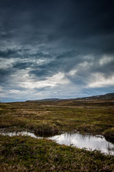 Nature- and Landscape