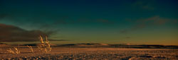 Nature- and Landscape