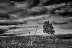 Nature- and Landscape