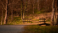 Nature- and Landscape