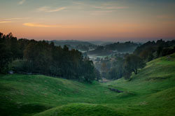 Nature- and Landscape